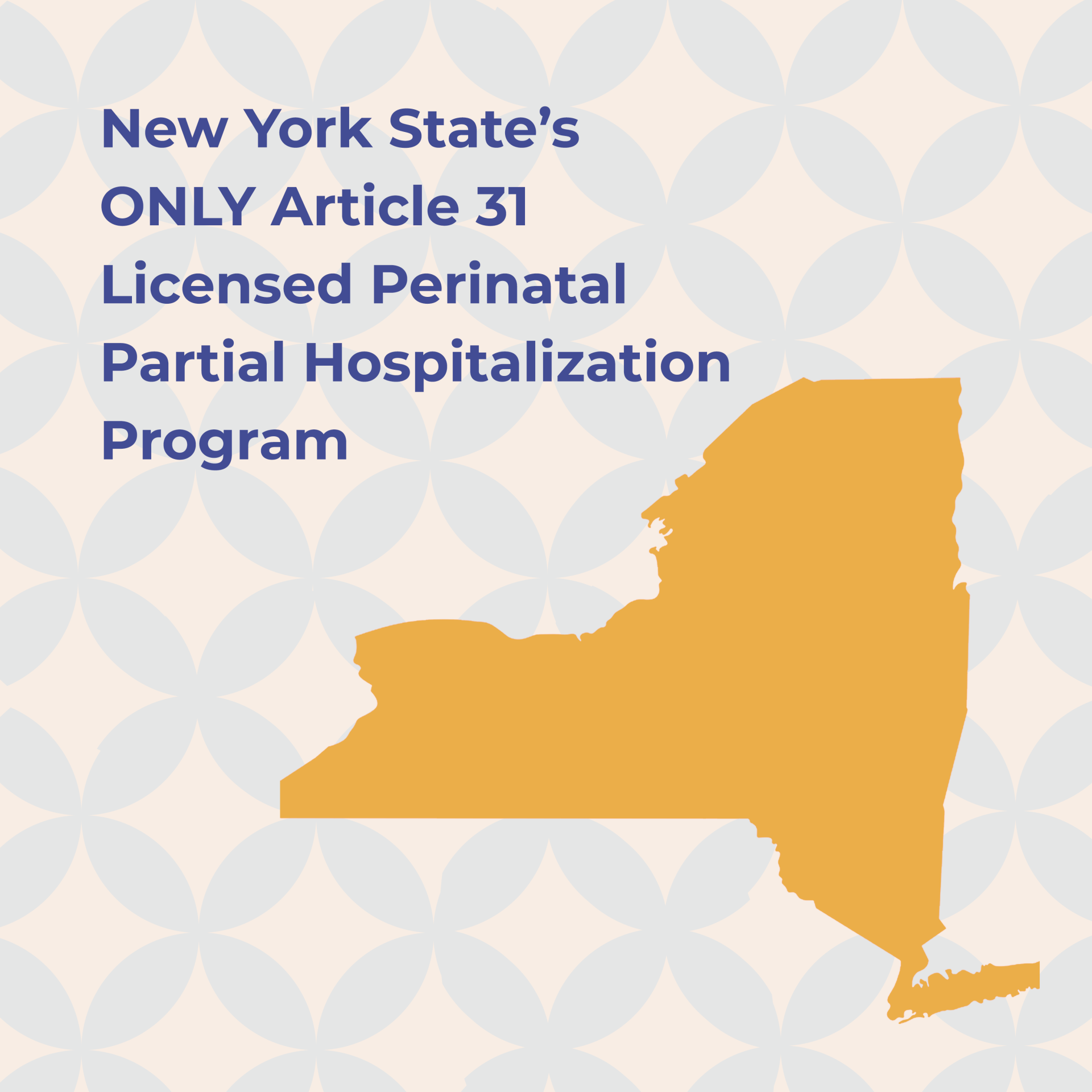 gold state Graphic highlighting New York State with the text: 'New York State's ONLY Article 31 Licensed Perinatal Partial Hospitalization Program' in bold blue font. The design features a gold silhouette of New York State on a patterned background of soft cream and light blue geometric shapes.